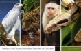 /album/fotogaleria/fauna-jpg/